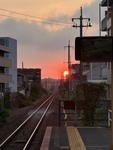 映画「どうすればよかったか？」を観て考えた。
