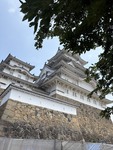 姫路城で見つけた、50代からの「お金と時間」の使い方